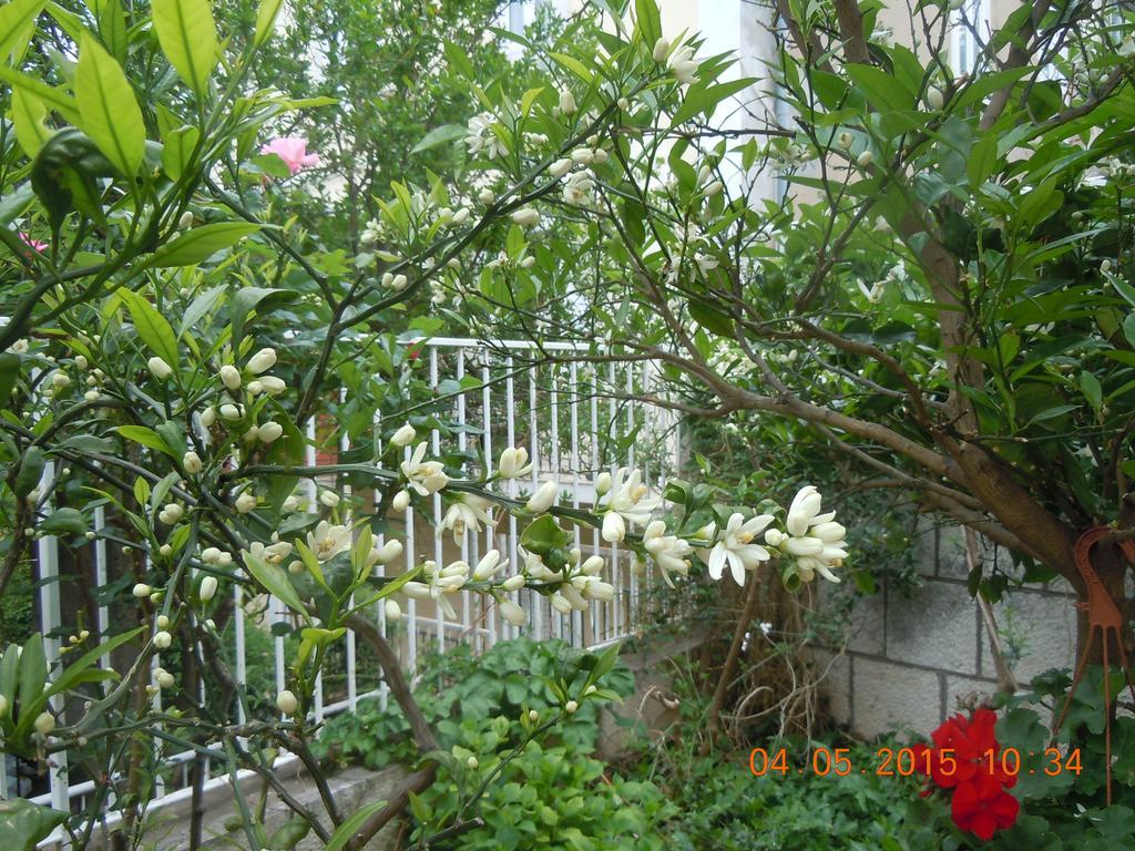 杜布罗夫尼克中央公寓 客房 照片